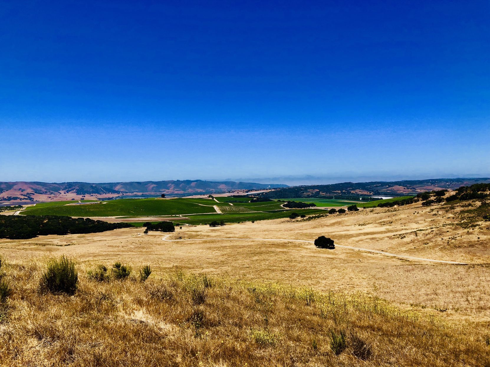 Erin Kelsey - Farming with a little Ocean Breeze.jpg